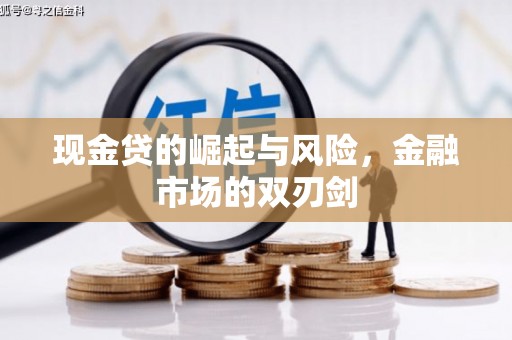 邵阳现金贷的崛起与风险，金融市场的双刃剑