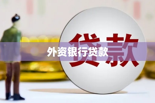 邵阳外资银行贷款