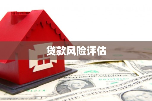 邵阳贷款风险评估