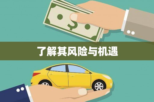 邵阳了解其风险与机遇