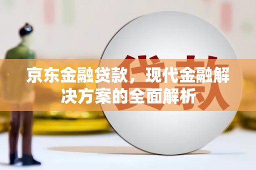 邵阳京东金融贷款，现代金融解决方案的全面解析