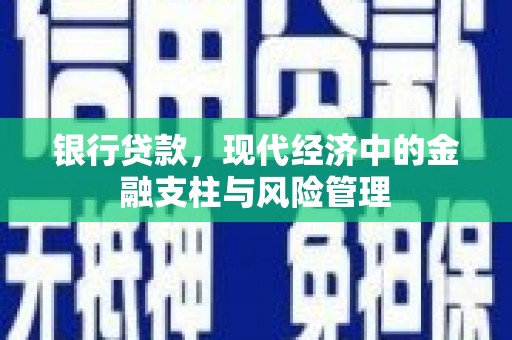 邵阳银行贷款，现代经济中的金融支柱与风险管理