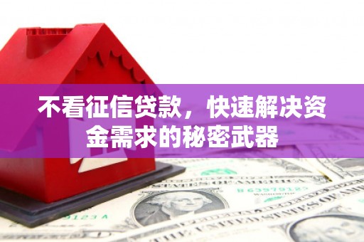 邵阳不看征信贷款，快速解决资金需求的秘密武器
