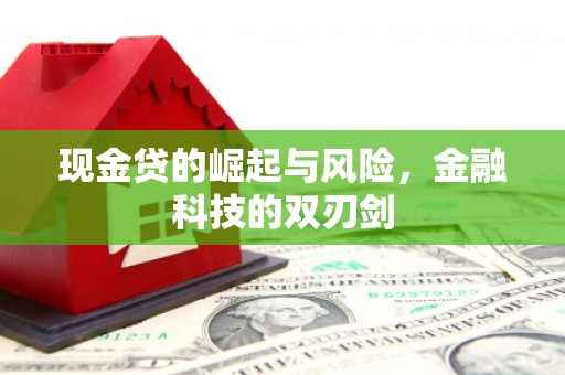 邵阳现金贷的崛起与风险，金融科技的双刃剑
