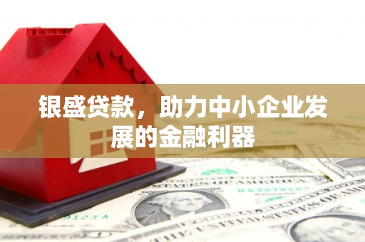 邵阳银盛贷款，助力中小企业发展的金融利器