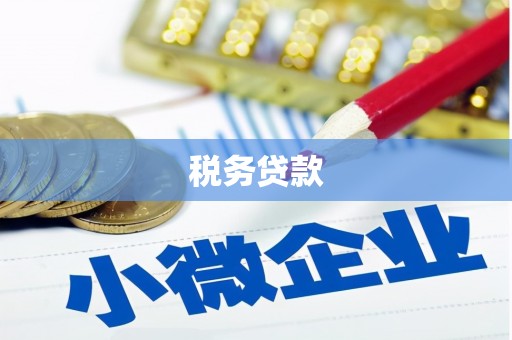 邵阳税务贷款