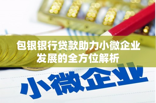 邵阳包银银行贷款助力小微企业发展的全方位解析