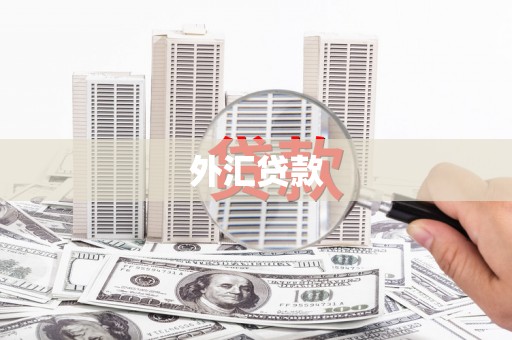 邵阳外汇贷款
