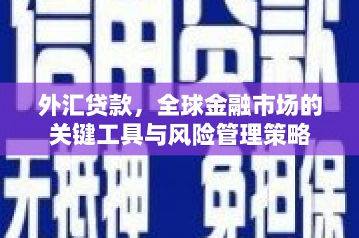 邵阳外汇贷款，全球金融市场的关键工具与风险管理策略