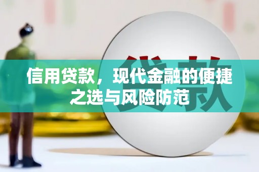 邵阳信用贷款，现代金融的便捷之选与风险防范