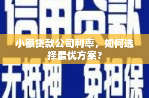 邵阳小额贷款公司利率，如何选择最优方案？