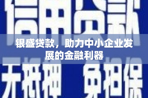 邵阳银盛贷款，助力中小企业发展的金融利器