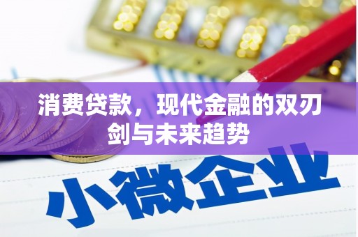 邵阳消费贷款，现代金融的双刃剑与未来趋势