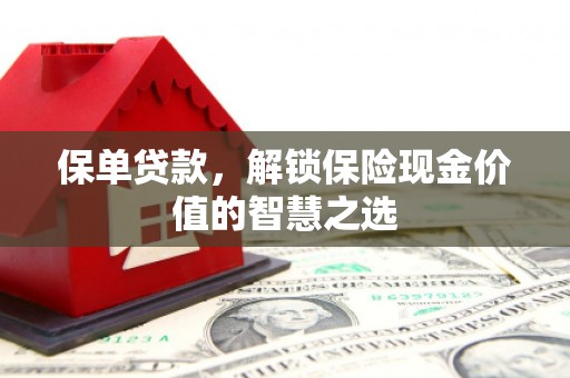 邵阳保单贷款，解锁保险现金价值的智慧之选