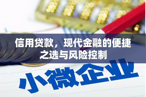 邵阳信用贷款，现代金融的便捷之选与风险控制