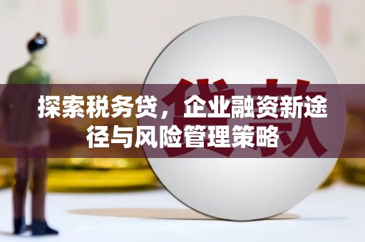 邵阳探索税务贷，企业融资新途径与风险管理策略