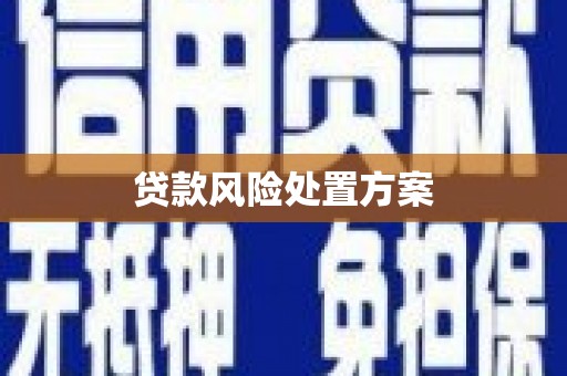 邵阳贷款风险处置方案