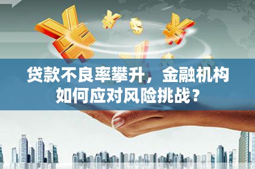 邵阳贷款不良率攀升，金融机构如何应对风险挑战？