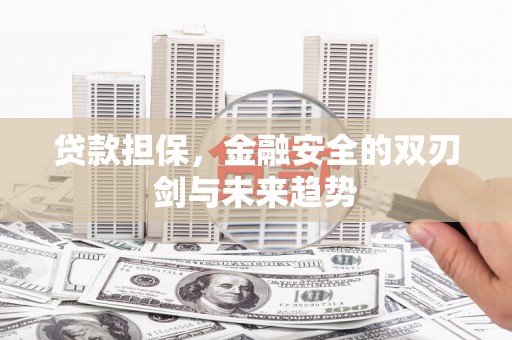 邵阳贷款担保，金融安全的双刃剑与未来趋势