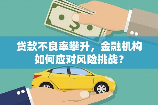 邵阳贷款不良率攀升，金融机构如何应对风险挑战？