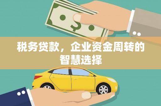 邵阳税务贷款，企业资金周转的智慧选择