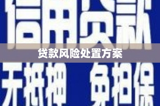 邵阳贷款风险处置方案