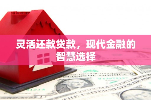 邵阳灵活还款贷款，现代金融的智慧选择