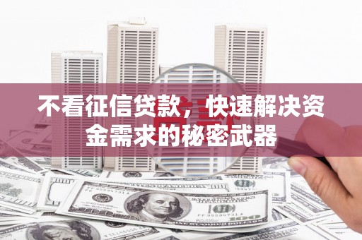 邵阳不看征信贷款，快速解决资金需求的秘密武器