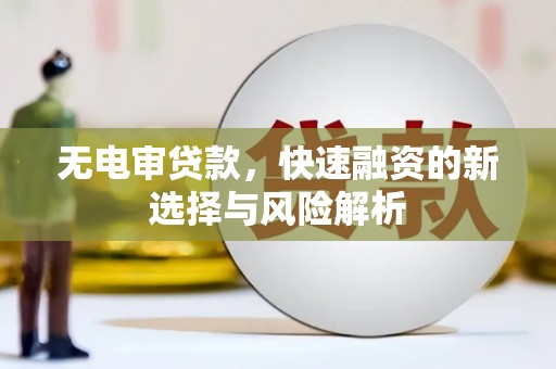 邵阳无电审贷款，快速融资的新选择与风险解析