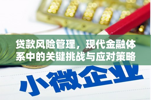 邵阳贷款风险管理，现代金融体系中的关键挑战与应对策略