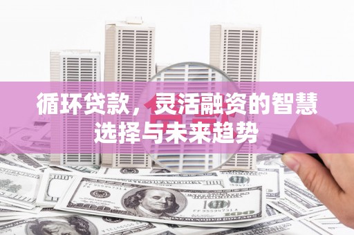邵阳循环贷款，灵活融资的智慧选择与未来趋势