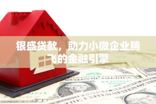 邵阳银盛贷款，助力小微企业腾飞的金融引擎