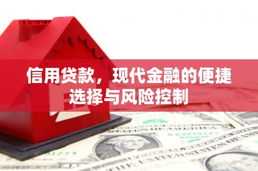 邵阳信用贷款，现代金融的便捷选择与风险控制