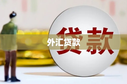 邵阳外汇贷款