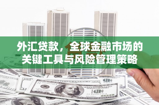 邵阳外汇贷款，全球金融市场的关键工具与风险管理策略