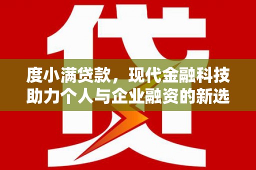邵阳度小满贷款，现代金融科技助力个人与企业融资的新选择