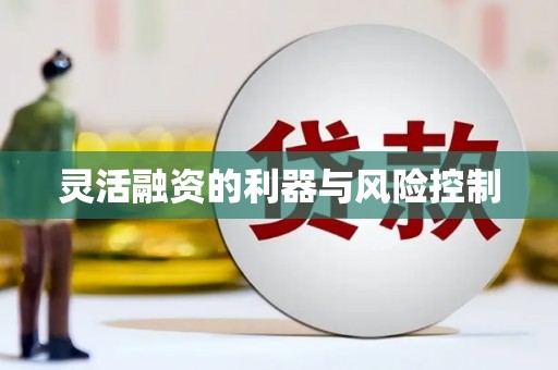邵阳灵活融资的利器与风险控制