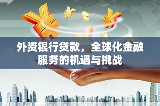 邵阳外资银行贷款，全球化金融服务的机遇与挑战