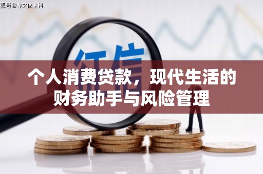 邵阳个人消费贷款，现代生活的财务助手与风险管理