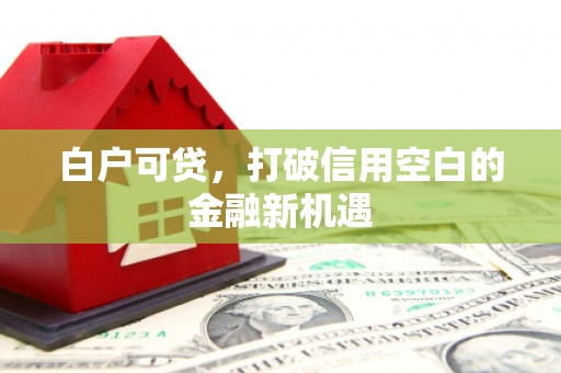 邵阳白户可贷，打破信用空白的金融新机遇