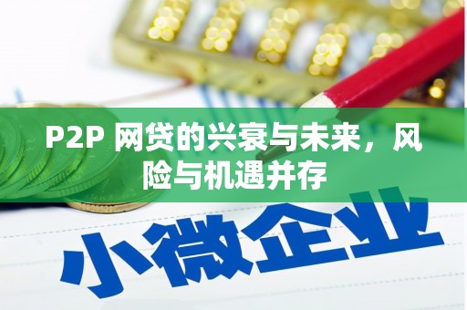 邵阳P2P 网贷的兴衰与未来，风险与机遇并存