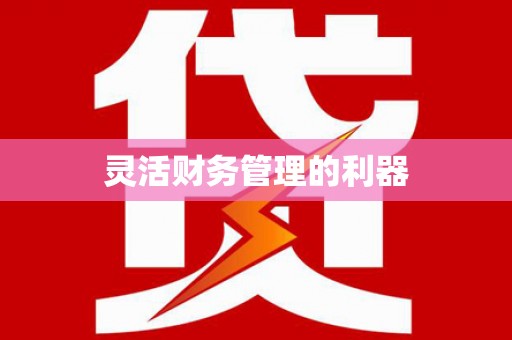 邵阳灵活财务管理的利器