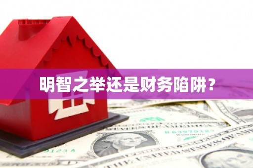 邵阳明智之举还是财务陷阱？