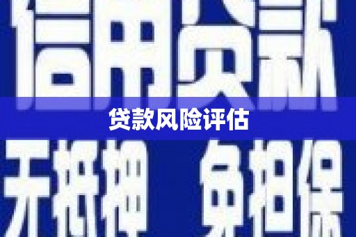 邵阳贷款风险评估