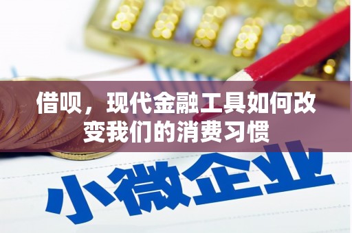邵阳借呗，现代金融工具如何改变我们的消费习惯