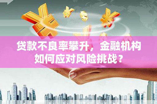 邵阳贷款不良率攀升，金融机构如何应对风险挑战？