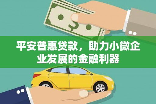 邵阳平安普惠贷款，助力小微企业发展的金融利器