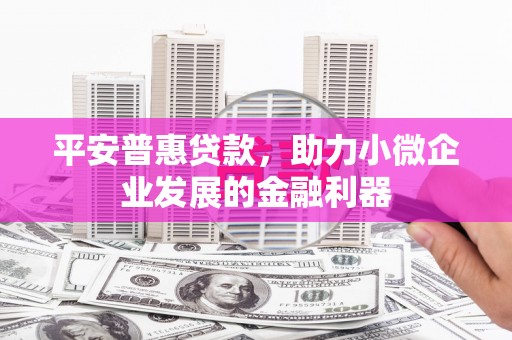 邵阳平安普惠贷款，助力小微企业发展的金融利器