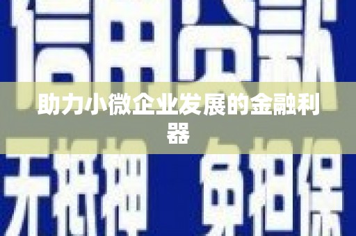 邵阳助力小微企业发展的金融利器
