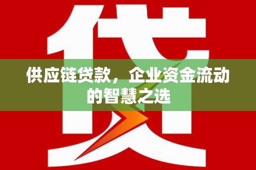 邵阳供应链贷款，企业资金流动的智慧之选
